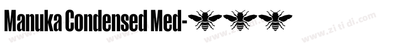 Manuka Condensed Med字体转换